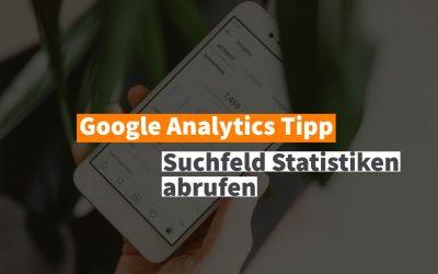 Suchfeld Statistiken in Google Analytics